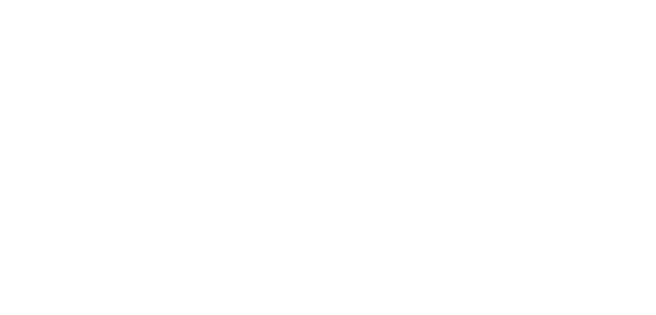 Z.ai logo